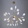 Миниатюра фото подвесной светильник inodesign moooi heracleum 41.720 | 220svet.ru